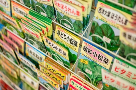 写真：売り場に陳列された野菜の種